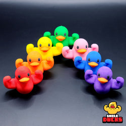 Rainbow Mini Swole Duck Quack Pack (ONLINE ORDER ONLY)