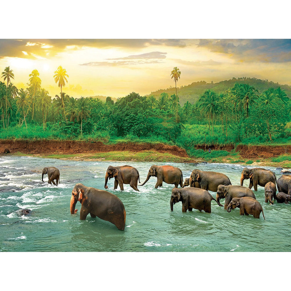 Rainforest 1000 Piece Jigsaw Puzzle Eurographics (ONLINE ORDER ONLY)