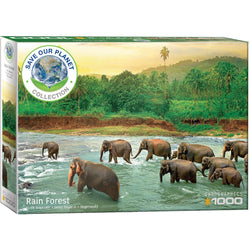 Rainforest 1000 Piece Jigsaw Puzzle Eurographics (ONLINE ORDER ONLY)