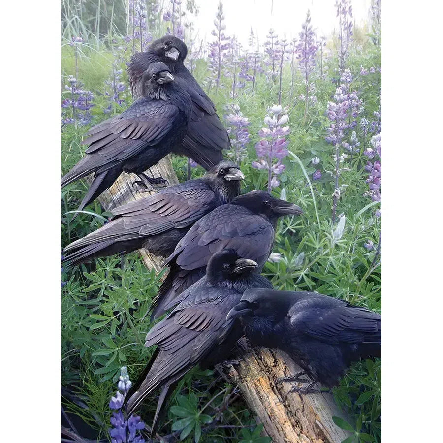 Raven Rendezvous 1000 Piece Jigsaw Puzzle Cobble Hill (ONLINE ORDER ONLY)