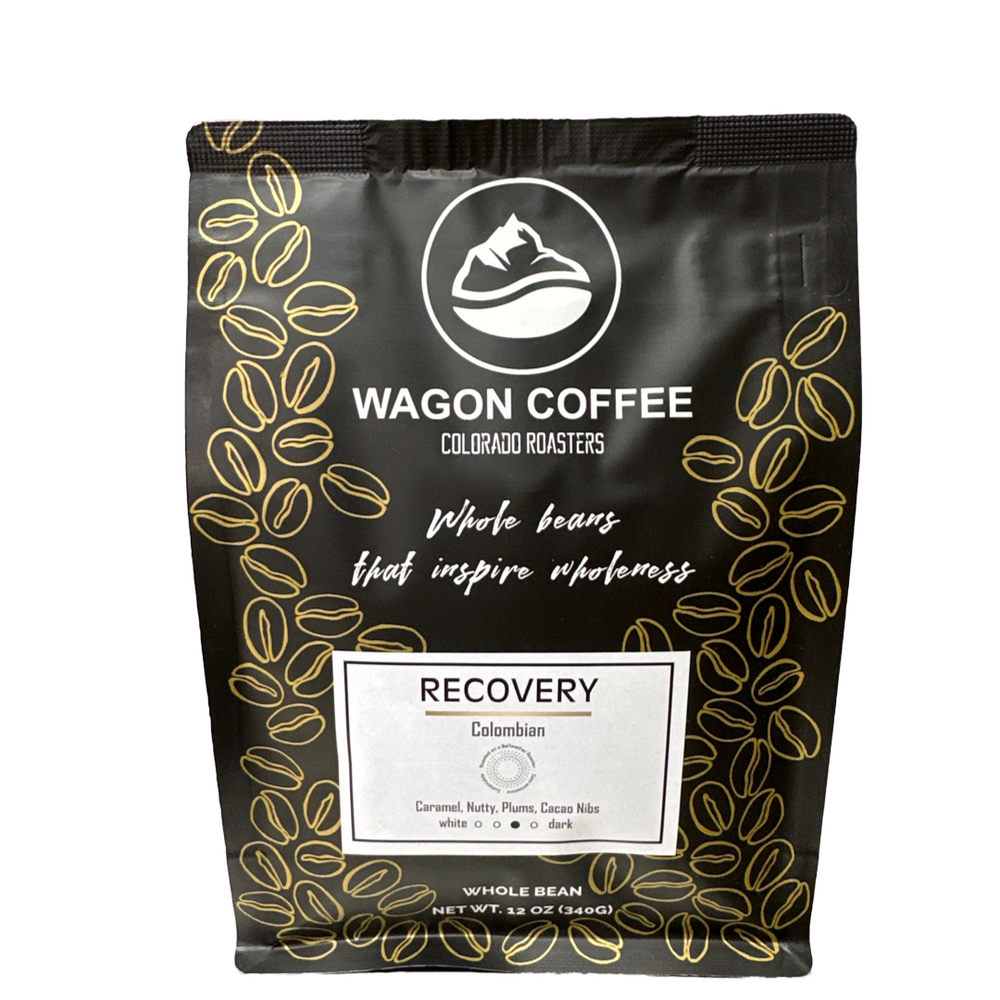 Recovery (ONLINE ORDER ONLY)