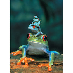Red-Eyed Tree Frog 1000 Piece Jigsaw Puzzle Eurographics (ONLINE ORDER ONLY)
