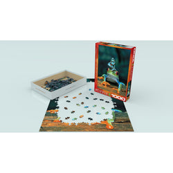 Red-Eyed Tree Frog 1000 Piece Jigsaw Puzzle Eurographics (ONLINE ORDER ONLY)