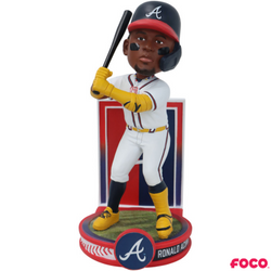 Banner Series Bobbleheads (ONLINE ORDER ONLY)