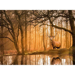 Rustling Silence "Peace Puzzle" 500 Piece Jigsaw Puzzle Clementoni (ONLINE ORDER ONLY)