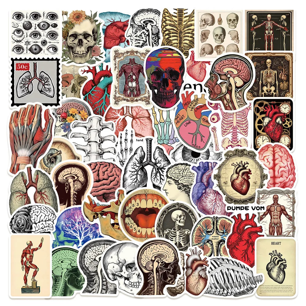 50pcs Retro Organ Dissection Stickers for Helmet, Wall, Desktop Decoration (Online Order Only)