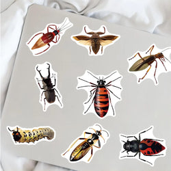 50/100Pcs Colorful Cartoon Insects Spider Butterfly for Kids Gifts Luggage Laptop Skateboard Sticker Waterproof Wholesale (ONLINE ORDER ONLY)