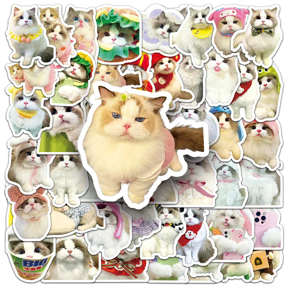 Cartoon Cat Stickers Pack - Laptop, Suitcase, Stationery Decor (Online Order Only)