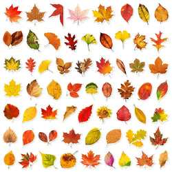 10/30/60PCS Fallen Leaves PVC Sticker Aesthetic Children's Decoration Scrapbooking Sketchbook Korean Stationery School Supplies (Online Order Only)