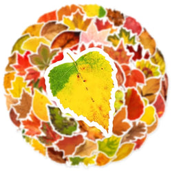 10/30/60PCS Fallen Leaves PVC Sticker Aesthetic Children's Decoration Scrapbooking Sketchbook Korean Stationery School Supplies (Online Order Only)