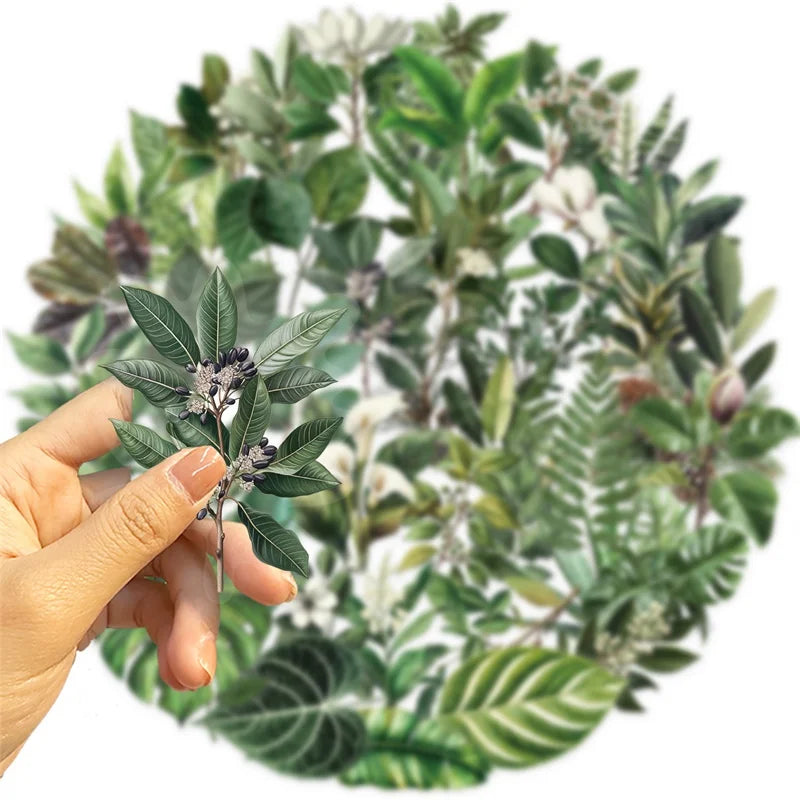 50PCS Kawaii Green Leaves PET Sticker Aesthetic Decoration Scrapbooking Stationery DIY Hand Accounting Supplies for Kids (ONLINE ORDER ONLY)