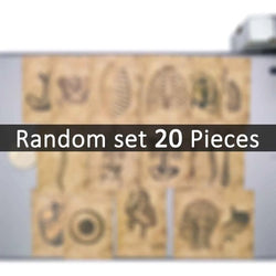 20/30/56Pieces Anatomy Sketch Skeleton Skull Muscle Viscera Retro Parchment Stickers for Scrapbook Luggage Phone Laptop Sticker (Online Order Only)