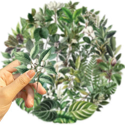 50PCS Kawaii Green Leaves PET Sticker Aesthetic Decoration Scrapbooking Stationery DIY Hand Accounting Supplies for Kids (ONLINE ORDER ONLY)