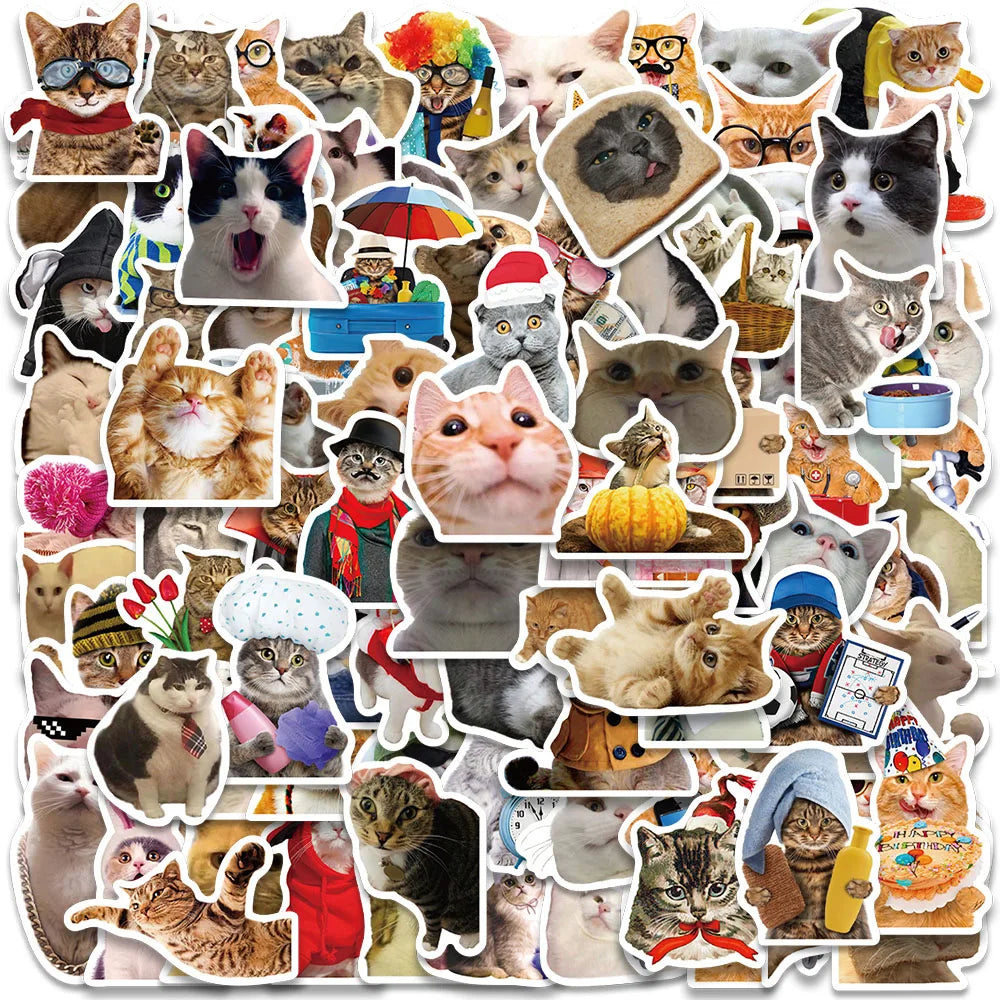 50/100pcs Funny Animals Cats Meme Stickers For Laptop Phone Guitar Luggage Bicycle Car  Waterproof Graffiti Vinyl Decals (Online Order Only)