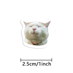 100-500pcs Cartoon Meme Cat Stickers For School Reward Stickers Classroom Decoration Encouragement Sticker For Student Teacher (ONLINE ORDER ONLY)