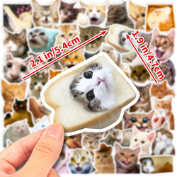 10/30/50/100pcs Cute Funny Meme Animal Cat Kitty Stickers Decals Laptop Notebook Luggage Car Decoration Sticker Kids Classic Toy (ONLINE ORDER ONLY)