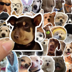 10/30/50PCS Dog Life Korean Sticker Aesthetic PVC Diary Laptop Sketchbook Children's Stationery Scrapbooking School Supplies (ONLINE ORDER ONLY)