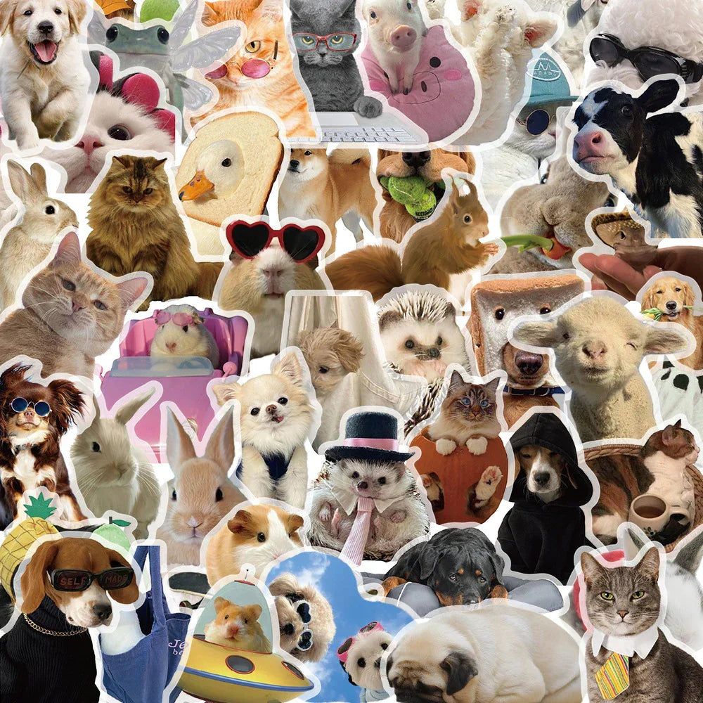Cute Animal Meme Stickers for Laptop, Phone, Suitcase, Kids Toy - 10/30/50pcs (ONLINE ORDER ONLY)