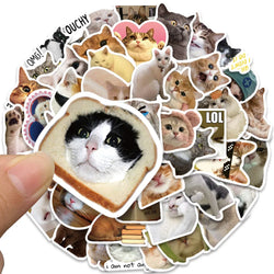 50/100pcs Funny Cat Meme Stickers Water Bottle Kitten Stickers Laptop Luggage Notebook Skateboard Waterproof Vinyl Car Decals (Online Order Only)