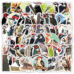 Woodpecker Cartoon Sticker Pack - 10/30/50pcs Animal Decals for Car, Phone, Helmet (Online Order Only)