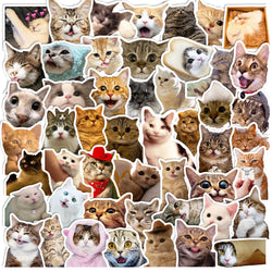 Cute Cat Stickers Pack: Cartoon Animal Decals for DIY, Laptop, Phone, Car (ONLINE ORDER ONLY)