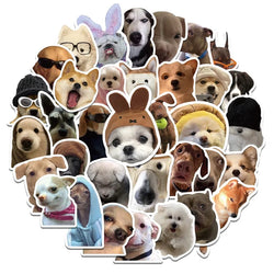 10/30/50PCS Dog Life Korean Sticker Aesthetic PVC Diary Laptop Sketchbook Children's Stationery Scrapbooking School Supplies (ONLINE ORDER ONLY)