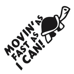 Car Stickers For Motorhome Horsebox Caravan Camper Van Body Back Door Turtle Decor Decals Auto Tuning Accessories Vinyl (ONLINE ORDER ONLY)