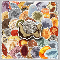 Dinosaur Fossil Cartoon Stickers for Scrapbook, Skateboard, Fridge, Luggage, Notebook, Kids Toys (10/30/50PCS) (ONLINE ORDER ONLY)
