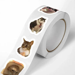 100-500pcs Cartoon Meme Cat Stickers For School Reward Stickers Classroom Decoration Encouragement Sticker For Student Teacher (ONLINE ORDER ONLY)