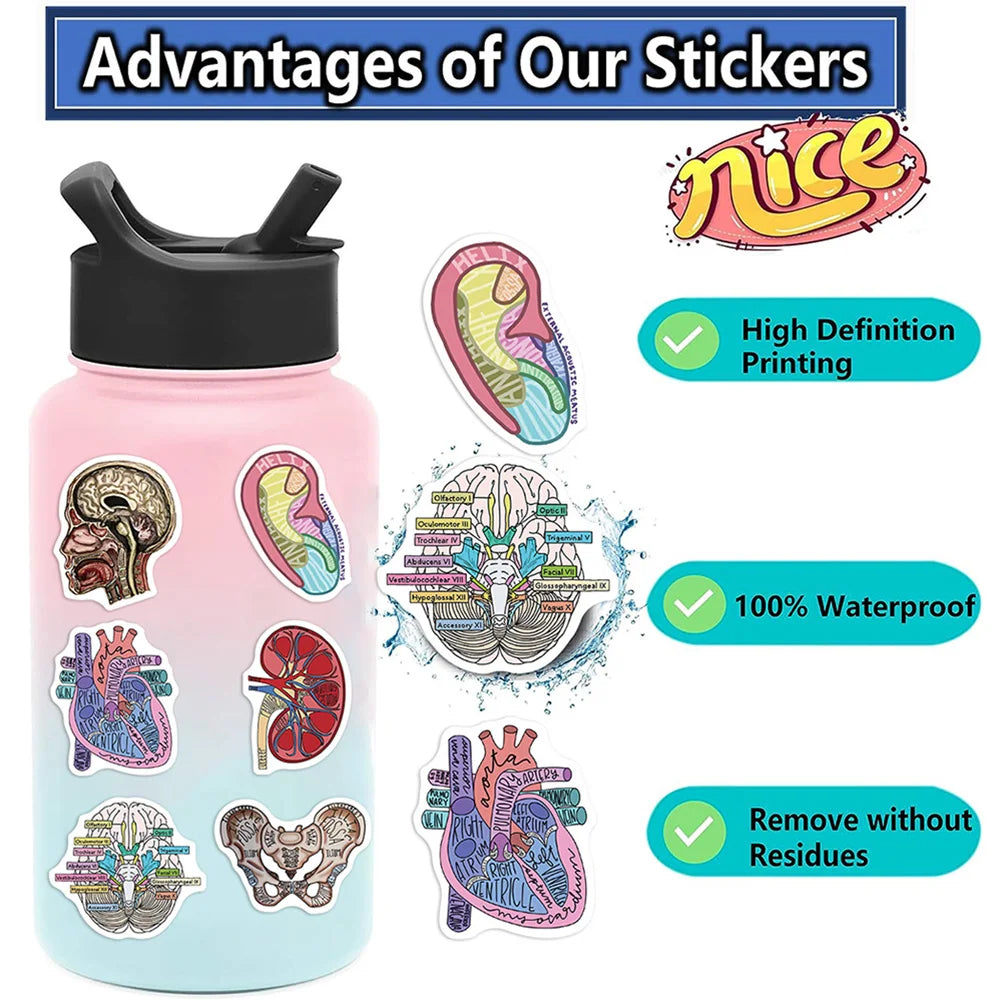 10/30/50PCS Funny Human Organ Medical Anatomy Stickers Cartoon Decals DIY Notebook Laptop Suitcase Stationery Waterproof Toys (ONLINE ORDER ONLY)