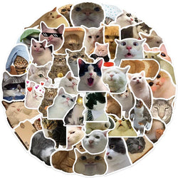10/30/50PCS Kawaii Cat Mood PVC Graffiti Sticker Sticky Aesthetic Decorative Scrapbook DIY Child Phone Stationery Supply for Kid (Online Order Only)