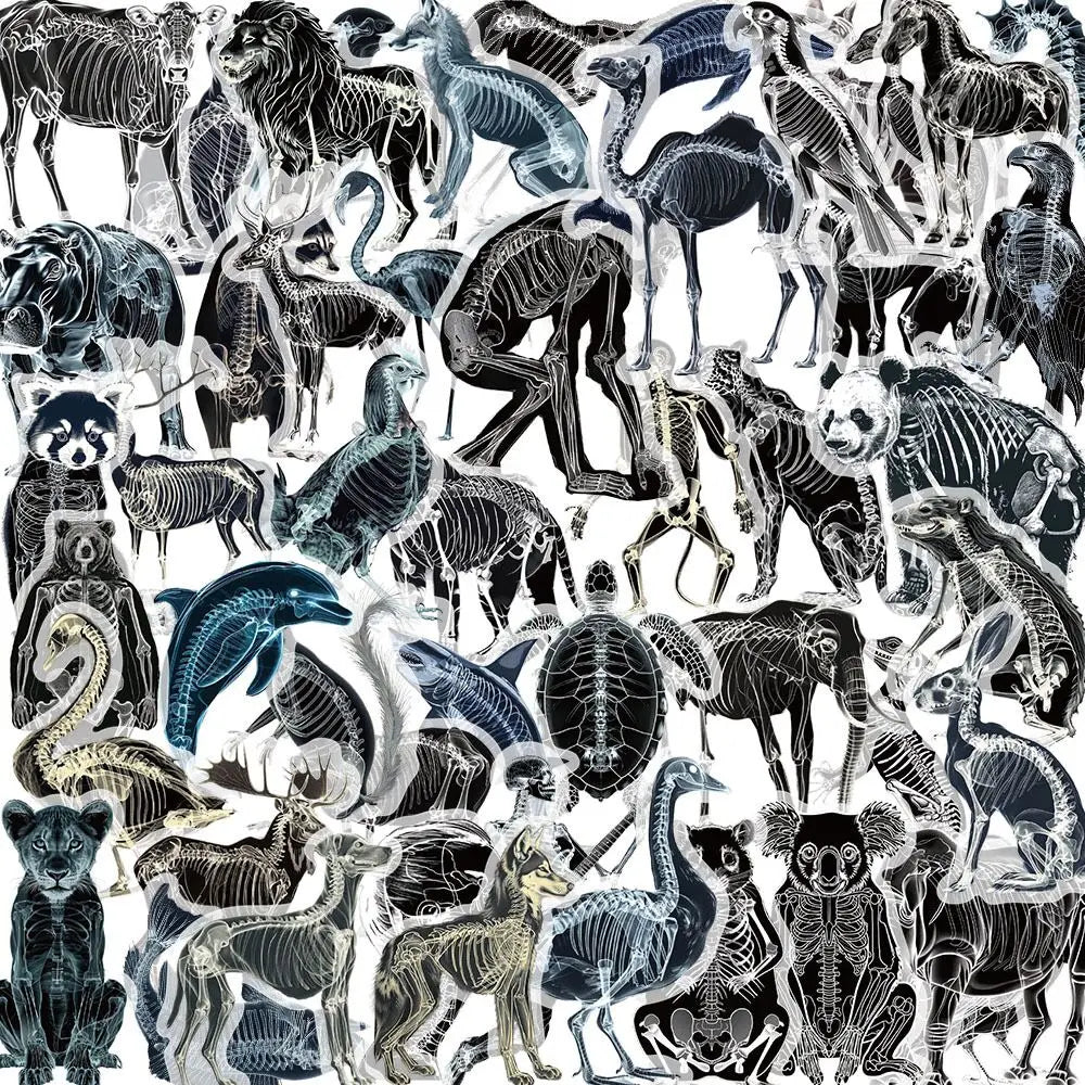 10/50pcs Cool X-ray Animals Skeleton Skull Stickers Transparent PET Decals Toy DIY Skateboard Phone Luggage Car Graffiti Sticker (Online Order Only)