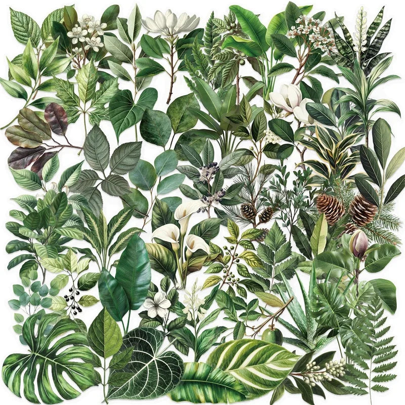 50PCS Kawaii Green Leaves PET Sticker Aesthetic Decoration Scrapbooking Stationery DIY Hand Accounting Supplies for Kids (ONLINE ORDER ONLY)