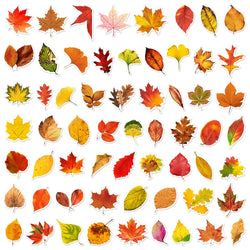 10/30/60PCS Fallen Leaves PVC Sticker Aesthetic Children's Decoration Scrapbooking Sketchbook Korean Stationery School Supplies (Online Order Only)