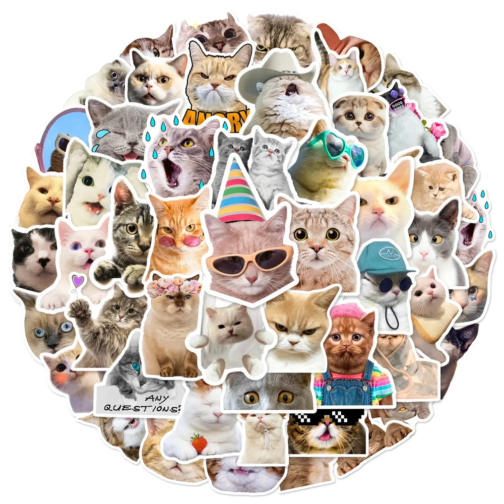 Funny Cat Meme Stickers for DIY Decor, Suitcase, Water Bottle, Phone, Laptop, Skateboard, Scrapbooking (10/25/50pcs) (Online Order Only)