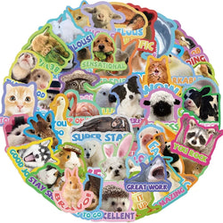 10/30/50PCS Cartoon Animal Encourage PVC Sticker Aesthetic Decoration Scrapbooking Stationery Hand Accounting Supplies for Kids (ONLINE ORDER ONLY)
