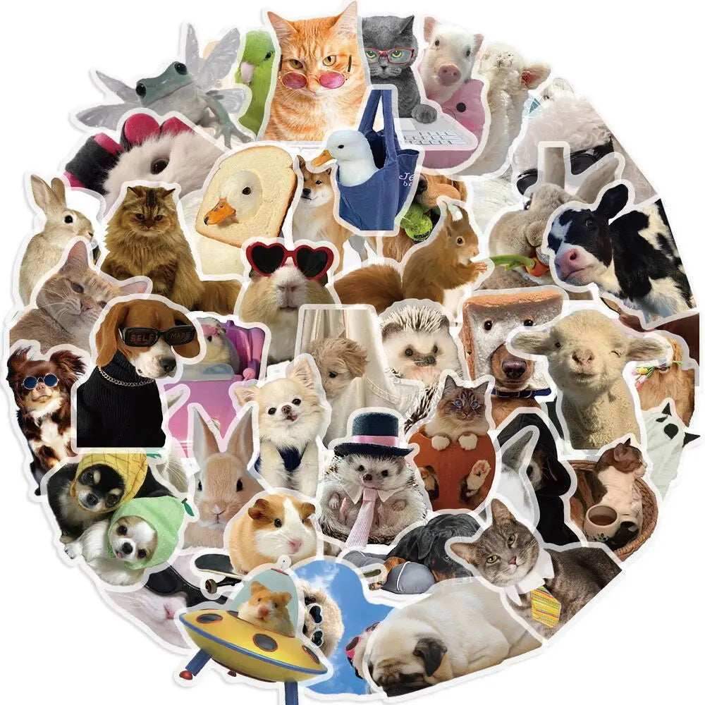 10/50pcs Cute Funny Cats Dogs Meme Stickers Kawaii Animal Transparent PET Decals Toy DIY Skateboard Notebook Fridge Car Sticker (ONLINE ORDER ONLY)