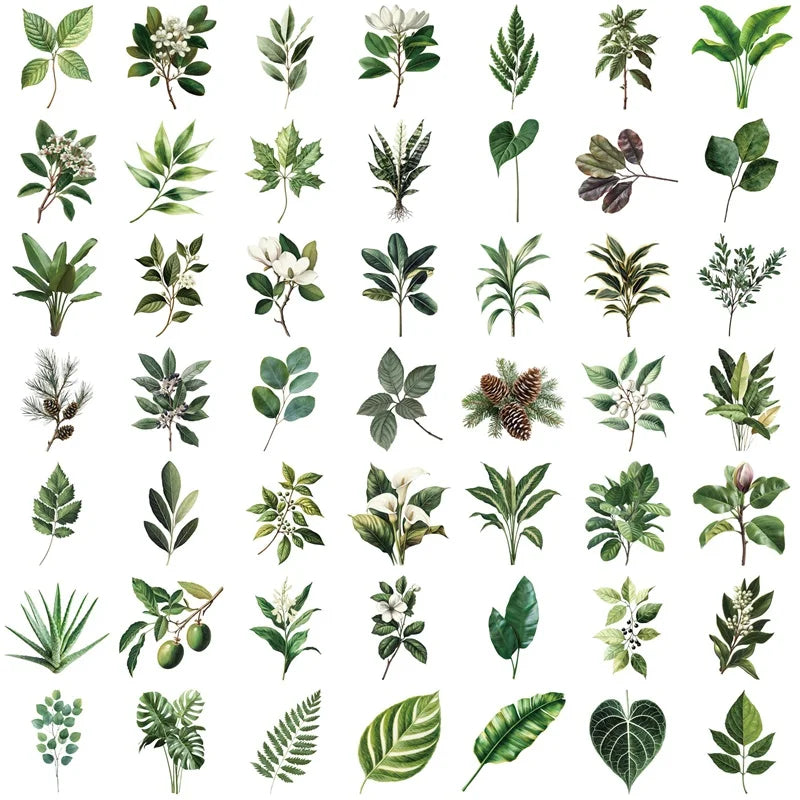 50PCS Kawaii Green Leaves PET Sticker Aesthetic Decoration Scrapbooking Stationery DIY Hand Accounting Supplies for Kids (ONLINE ORDER ONLY)