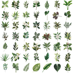 50PCS Kawaii Green Leaves PET Sticker Aesthetic Decoration Scrapbooking Stationery DIY Hand Accounting Supplies for Kids (ONLINE ORDER ONLY)