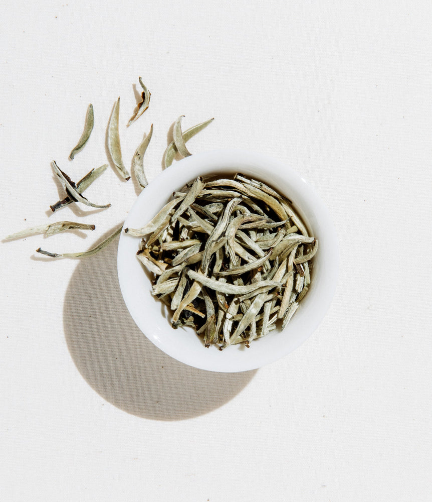 Silver Needle Tea (Online Only)