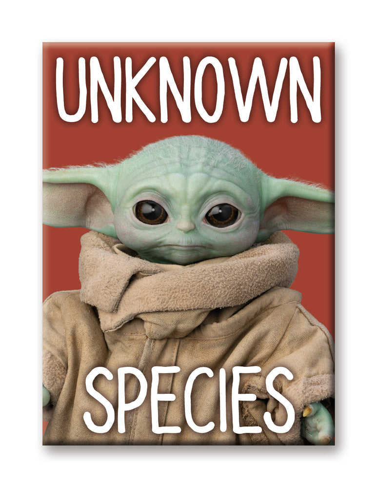 Star Wars Mandalorian Child Flat Magnet: Unknown Species (Online Order Only)