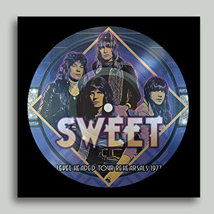 LEVEL HEADED TOUR REHEARSALS 1977 (PICTURE DISC) [Vinyl] (ONLINE ORDER ONLY)
