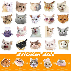 10/30/50/100pcs Cute Funny Meme Animal Cat Kitty Stickers Decals Laptop Notebook Luggage Car Decoration Sticker Kids Classic Toy (ONLINE ORDER ONLY)