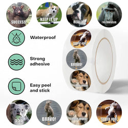 500PCS/Roll Cartoon Animals Stickers For Teachers Parents DIY Craft For Kids Reward School Classroom Cartoon Cute Stickers (ONLINE ORDER ONLY)
