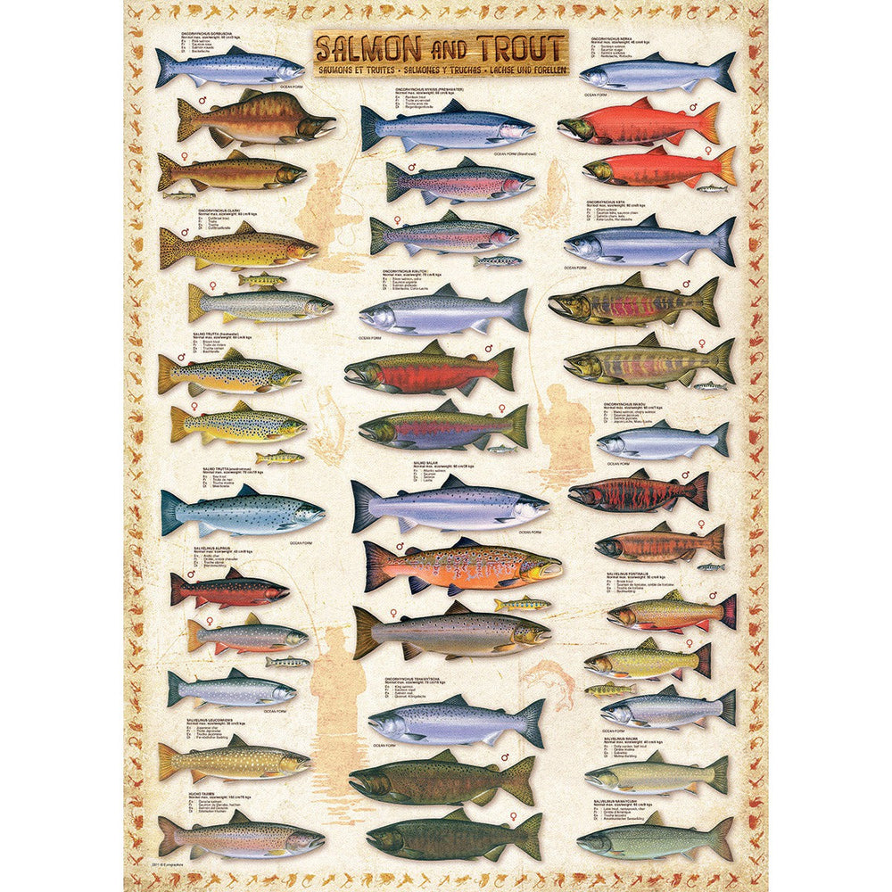 Salmon & Trout 1000 Piece Jigsaw Puzzle Eurographics (ONLINE ORDER ONLY)