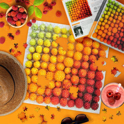 Salmonberries 500 Piece Jigsaw Puzzle Fred (ONLINE ORDER ONLY)