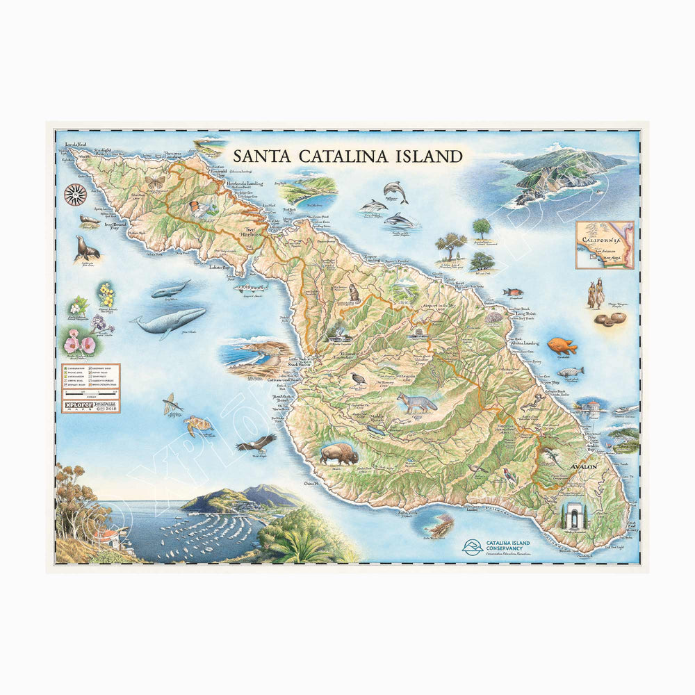 Santa Catalina 1000 Piece Jigsaw Puzzle Xplorer Maps (ONLINE ORDER ONLY)