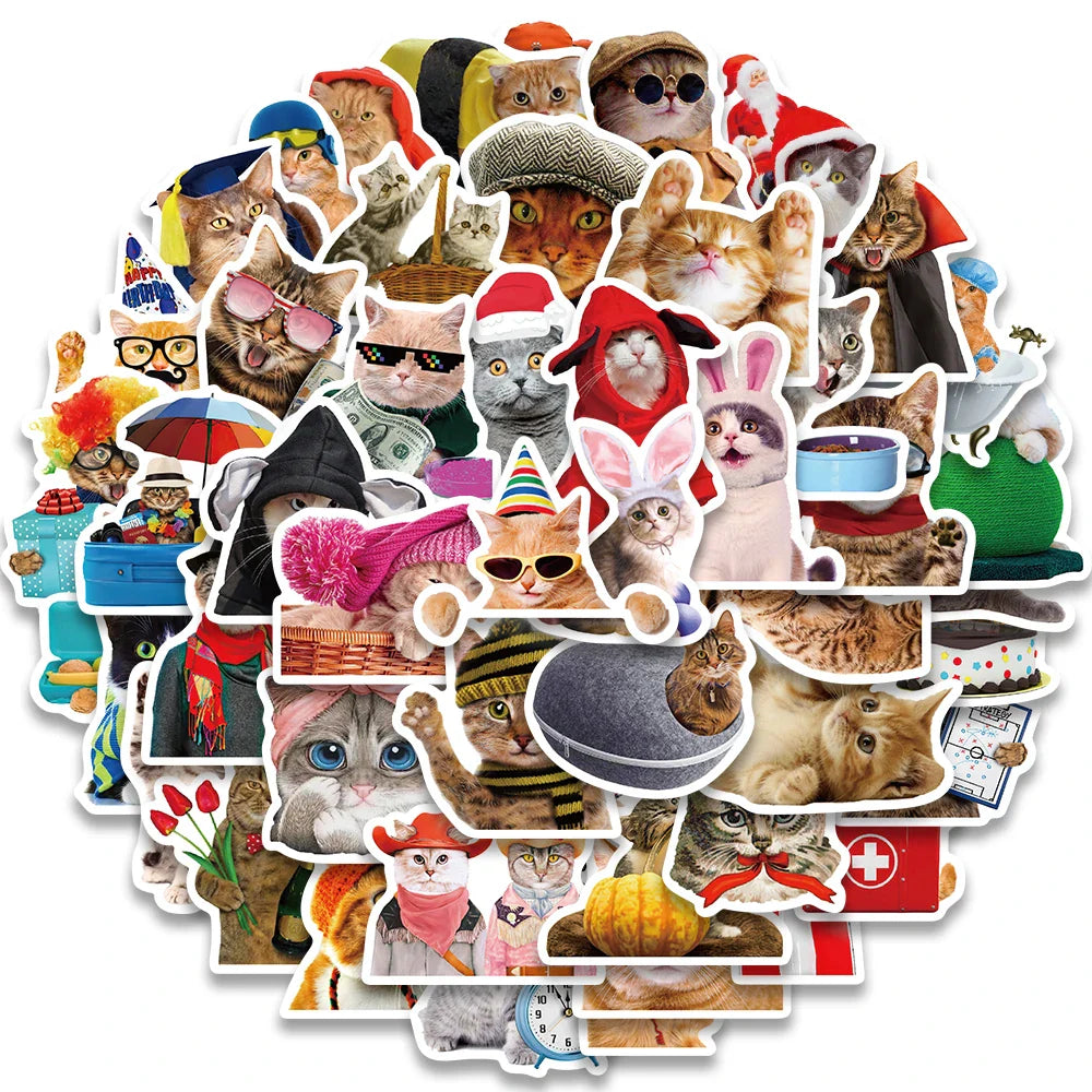 50pcs Funny Cats Meme Stickers For Luggage Guitar Laptop Phone Vinyl Waterproof Graffiti Bicycle Car Decals Kids Toy (ONLINE ORDER ONLY)
