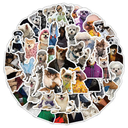 10/30/60pcs Cute Funny Animal Dog Meme Stickers Graffiti Decals Laptop Luggage Phone Car Suitcase Waterproof Sticker Kids Toys (ONLINE ORDER ONLY)