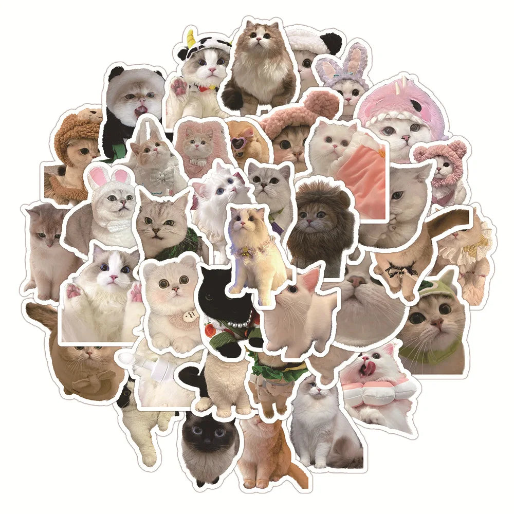 Kawaii Cat Stickers 10/30/60PCS for Luggage Laptop Phone Guitar Car Bike Skateboard Decals (ONLINE ORDER ONLY)